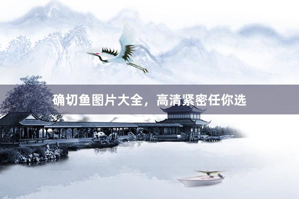 确切鱼图片大全，高清紧密任你选