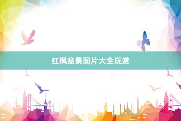 红枫盆景图片大全玩赏