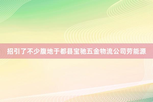 招引了不少腹地于都县宝驰五金物流公司劳能源