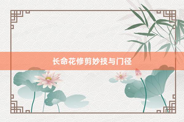 长命花修剪妙技与门径