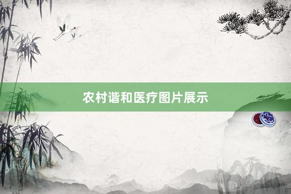 农村谐和医疗图片展示