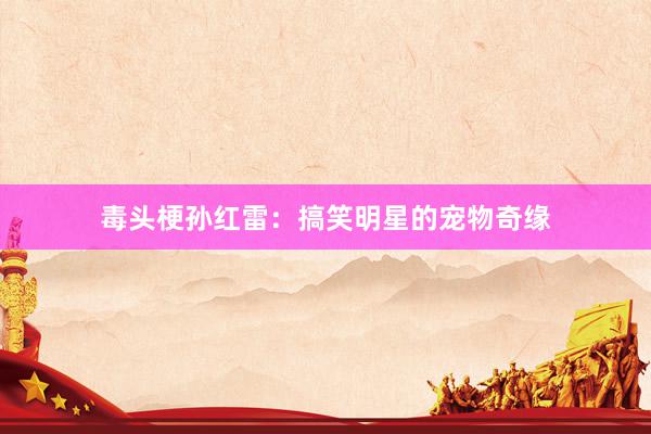 毒头梗孙红雷：搞笑明星的宠物奇缘