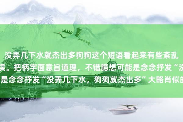 没弄几下水就杰出多狗狗这个短语看起来有些紊乱，可能是一个误写或口误。把柄字面意旨道理，不错臆想可能是念念抒发“没弄几下水，狗狗就杰出多”大略肖似的意旨道理。